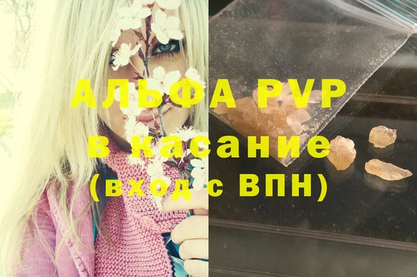 ешки Дмитриев