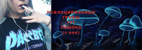 ешки Дмитриев