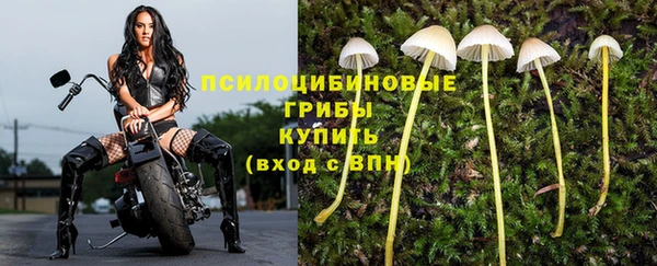 ешки Дмитриев